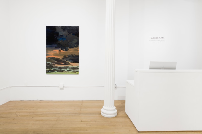 Superbloom, installation view, Arsenal Contemporary, NY, 2025