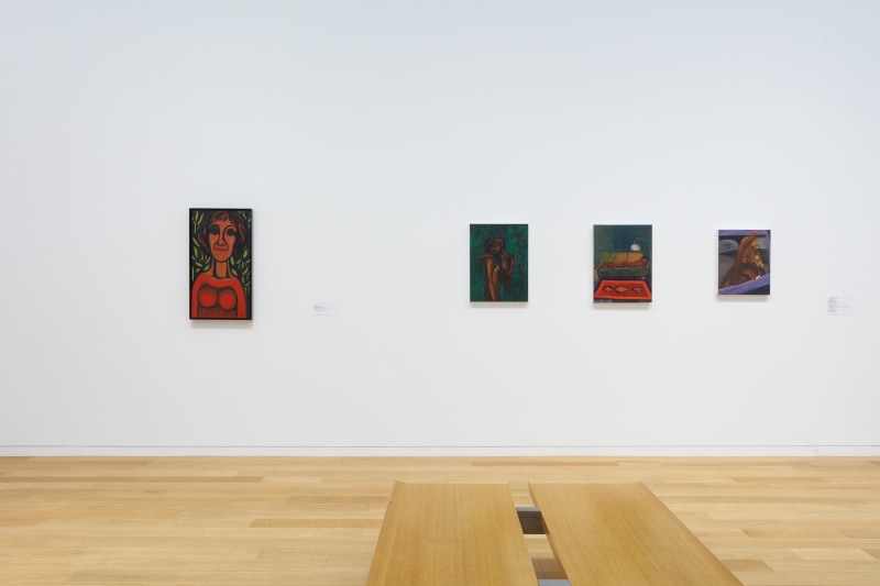 Women Painting Women, installation view, Modern Art Museum of Fort Worth, TX, 2022.