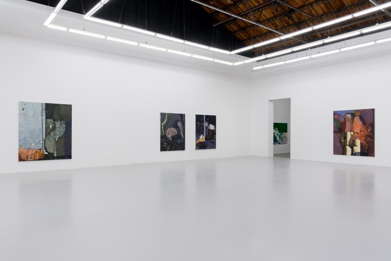A Labile Boundary at Best, installation view at Antenna Space, Shanghai, China, 2020.