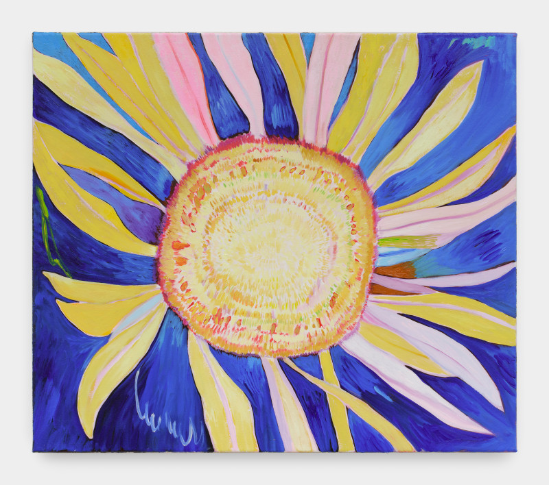 Paul Heyer, &quot;Sunflower at Night&quot;, 2024, oil on canvas , 20 x 23 in (50.8 x 58.4 cm)