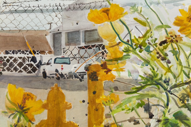 Sterling Wells, &quot;Desert Marigolds (Vernon, CA)&quot;, 2022, detail, watercolor on paper, 15 1/4 x 12 1/4 in (38.7 x 31.1 cm)