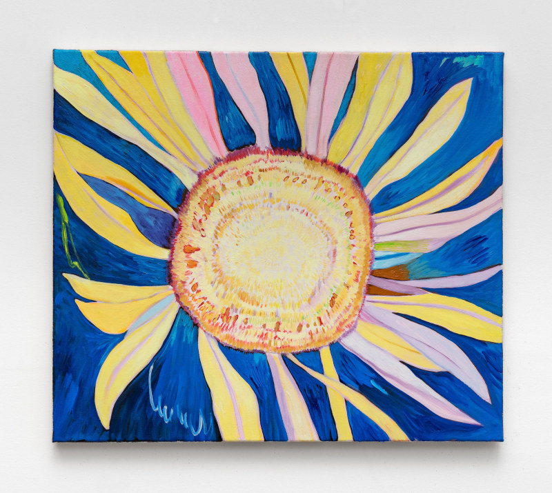 Paul Heyer,&nbsp;&quot;Sunflower at Night,&quot; 2024,&nbsp;oil on canvas ,&nbsp;20 x 23 in (50.8 x 58.4 cm)