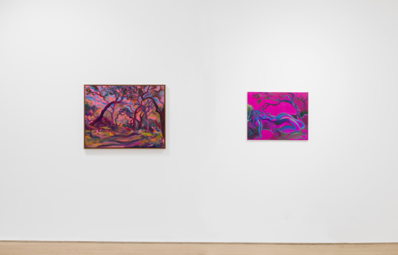 Superbloom, installation view, Arsenal Contemporary, NY, 2025