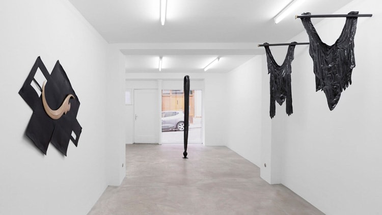 &quot;Skin Grafts for CT Scans,&quot; installation view at Antoine Levi Gallery, 2015