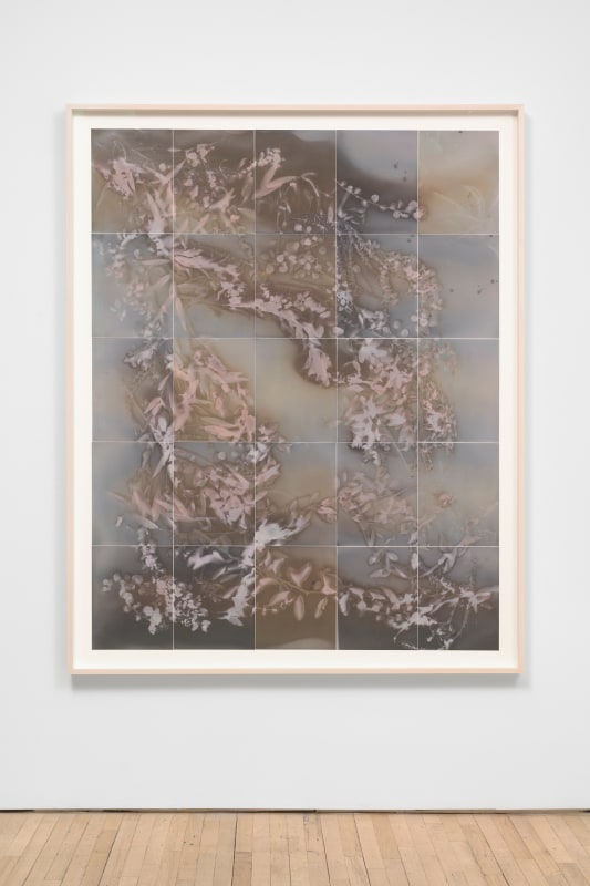 Lily Kwong, &quot;Dark Night of the Snowberry&quot;, 2025, expired Ilford photo paper, 75 x 60 in (190.5 x 152.4 cm)
