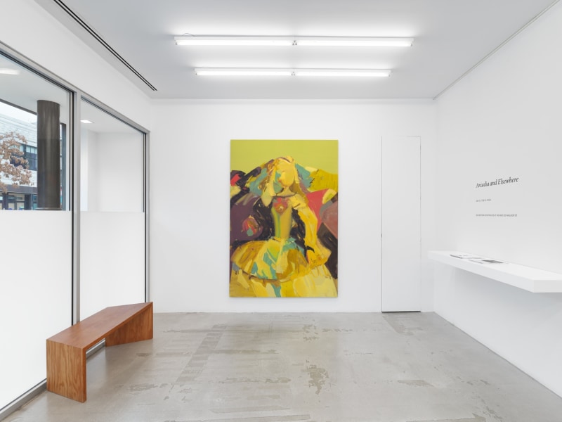 Arcadia and Elsewhere, installation view, James Cohan, NY