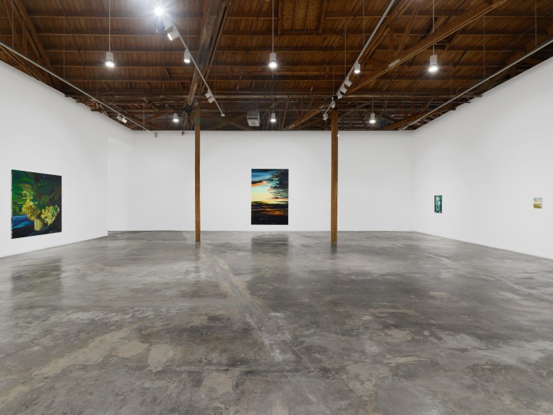 Clare Woods, I Blame Nature, installation view, 2024