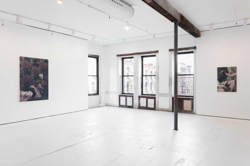 Pleasures of the Dance, installation view at Nathalie Karg, 2016