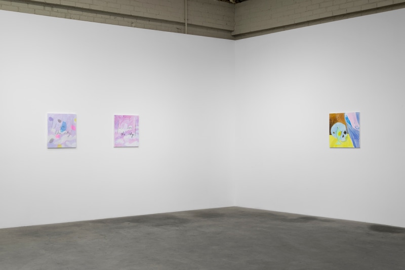 Paul Heyer, I am the Sky, installation view, Night Gallery, 2016