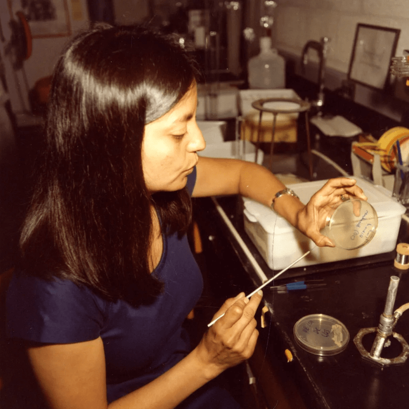 Dr. Lydia Villa-Komaroff working as a University of Massachusetts Lab Asst. Professor, 1978.