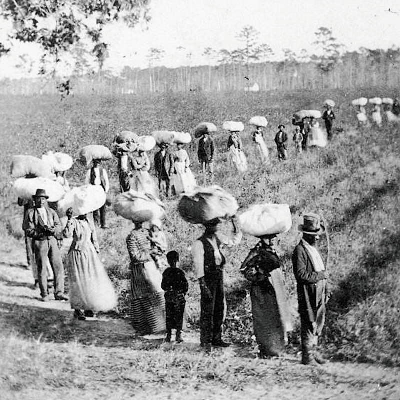 Enslaved people returning from the cotton fields in South Carolina. 1860.