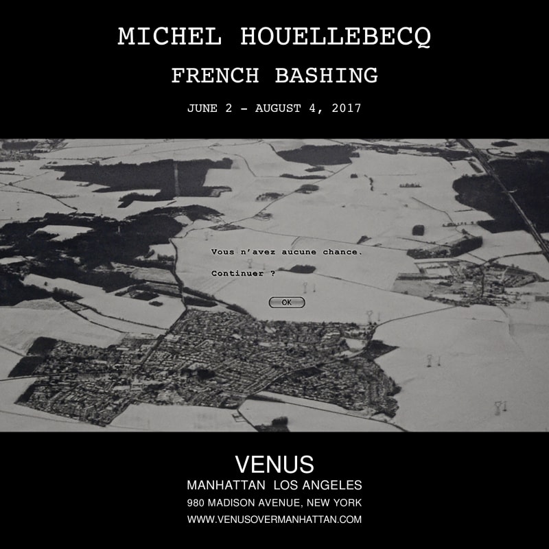 Michel Houellebecq - French Bashing - Exhibitions - Venus Over Manhattan