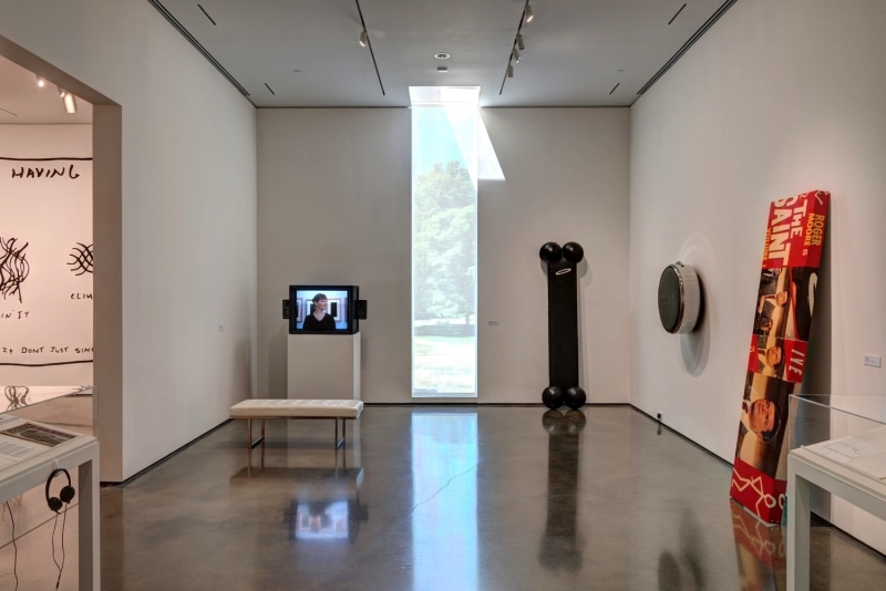 Hessel Museum of Art,&amp;nbsp;The&amp;nbsp;Conditions Of Being Art: Pat Hearn Gallery And American Fine Arts, Co. (1983-2004), 2018