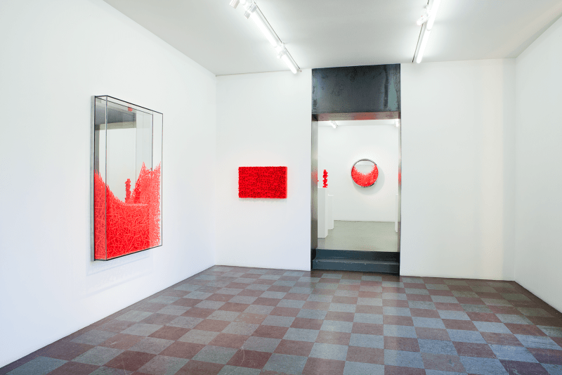 Installation Shot, Solo Exhibition, 2012
