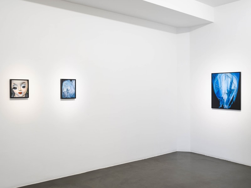 Installation view, The Naked Dive, 2022 Photo Jean-Baptiste Béranger