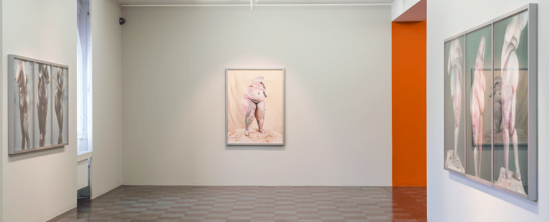 Installation Shot, Nudes/ Corpo Mec&acirc;nico, 2015