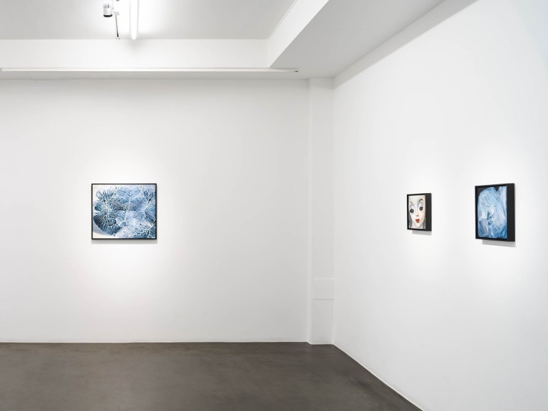 Installation view, The Naked Dive, 2022 Photo Jean-Baptiste Béranger