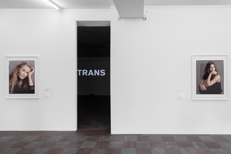 Installation Shot, The Trans List, 2017