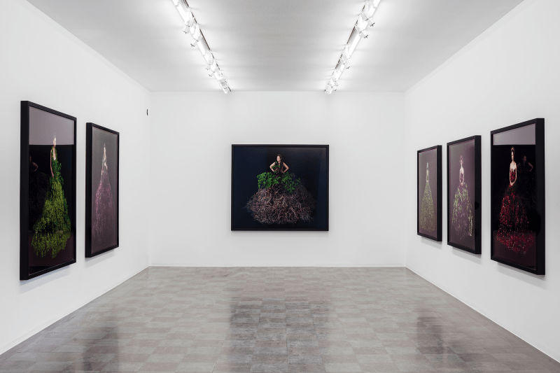 Installation Shot, Mother Earth, 2018