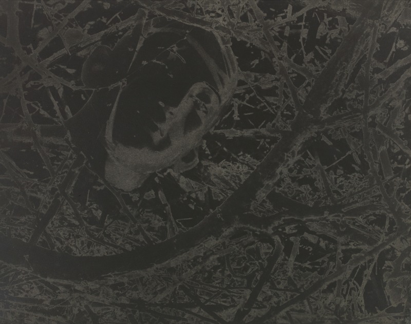 Lionel Wendt &ldquo;Untitled (Head Among Twigs)&rdquo;, ca. 1942
