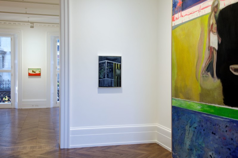 PETER DOIG, New Paintings, London, 2012, Installation Image 10