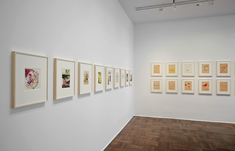 Sigmar Polke, Early Works on Paper, New York, 2014, Installation Image 2