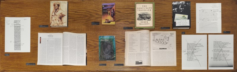 Postures: Jean Rhys in the Modern World