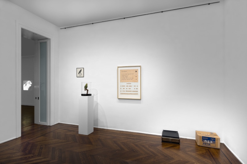 MARCEL BROODTHAERS &Eacute;criture 28 January through 26 March 2016 UPPER EAST SIDE, NEW YORK, Installation View 14