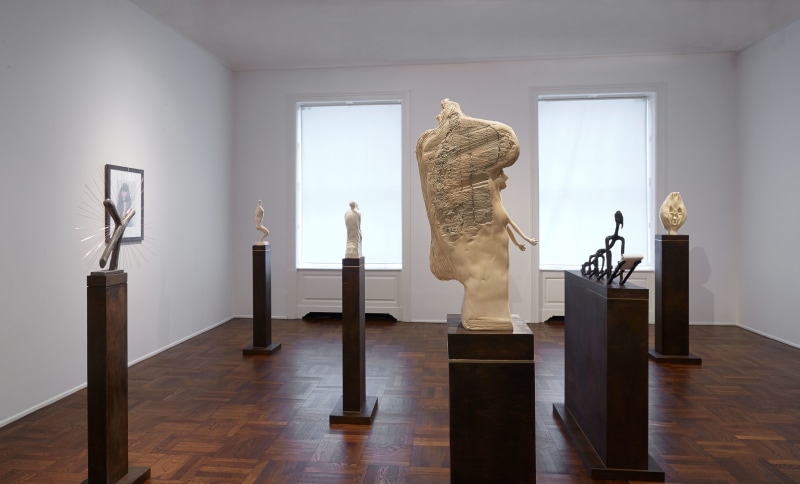 Enrico David, New York, 2014-2015, Installation Image 3