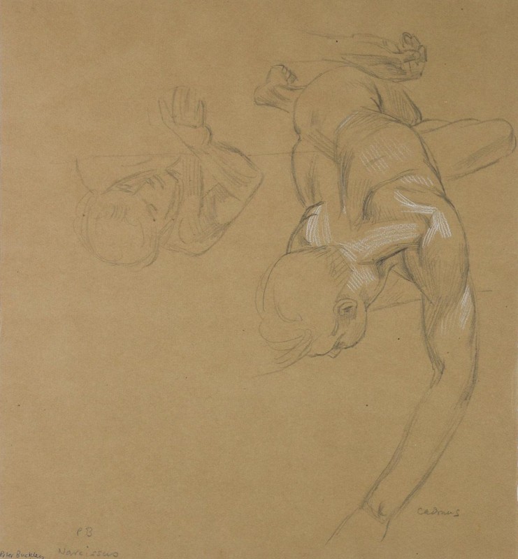 &ldquo;Study for Narcissus (Portrait of Peter Buckley)&rdquo;