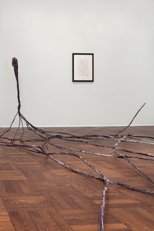 Enrico David, NERVE ENDING, New York, 2012, Installation Image 4