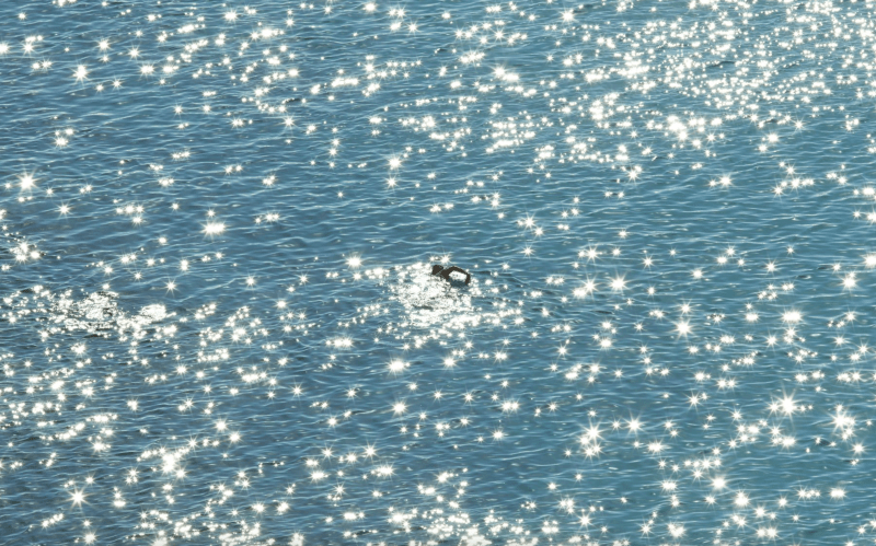 Richard Misrach, The Swimmer, Cosmic Sea, Detail Positive, 2023