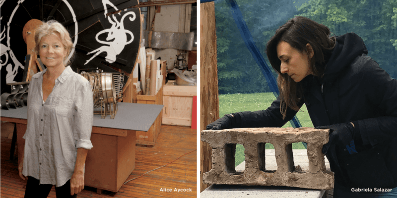 Virtual Program: Art and Nature: Gabriela Salazar and Alice Aycock in Conversation