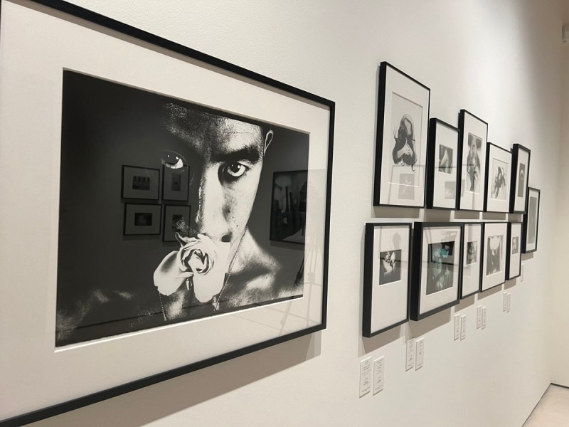 Nobuyoshi Araki. Material provocativo para pensar. Fotografía japonesa contemporánea. Colección José Luis Soler Vila (colectiva) - Museo Carmen Thyssen, Málaga - Noticias - Lopez de la Serna CAC