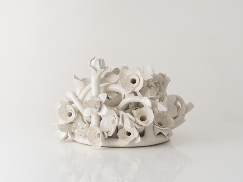 ANAT SHIFTAN