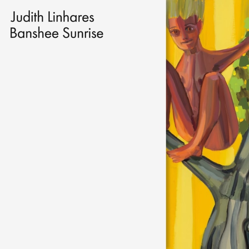 Judith Linhares - Banshee Sunrise - Publications - PPOW