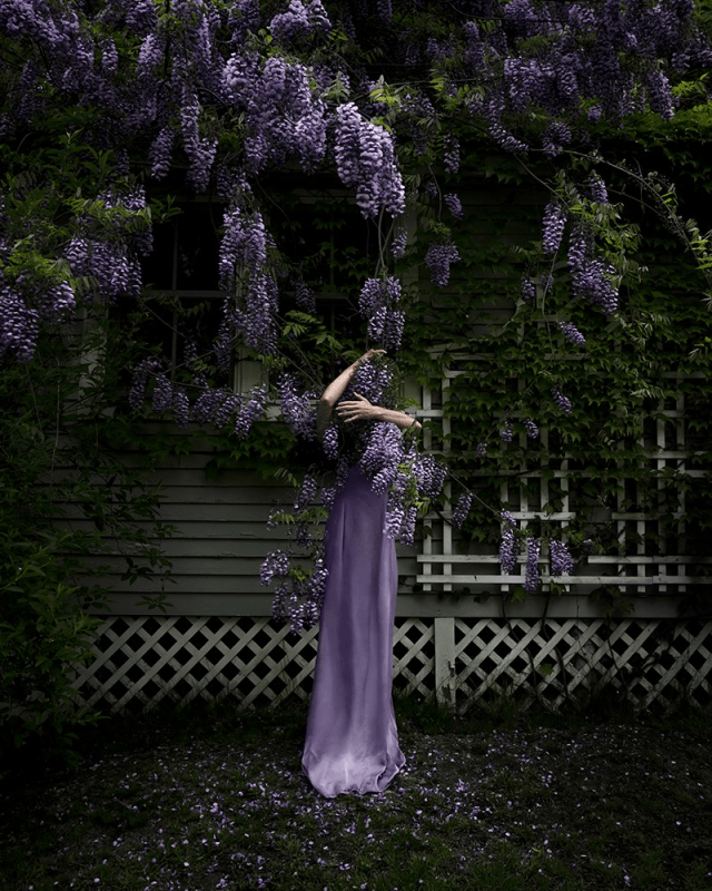 A figure wearing a long light purple gown stands in front of a house and embraces bunches of light purple wisteria flowers