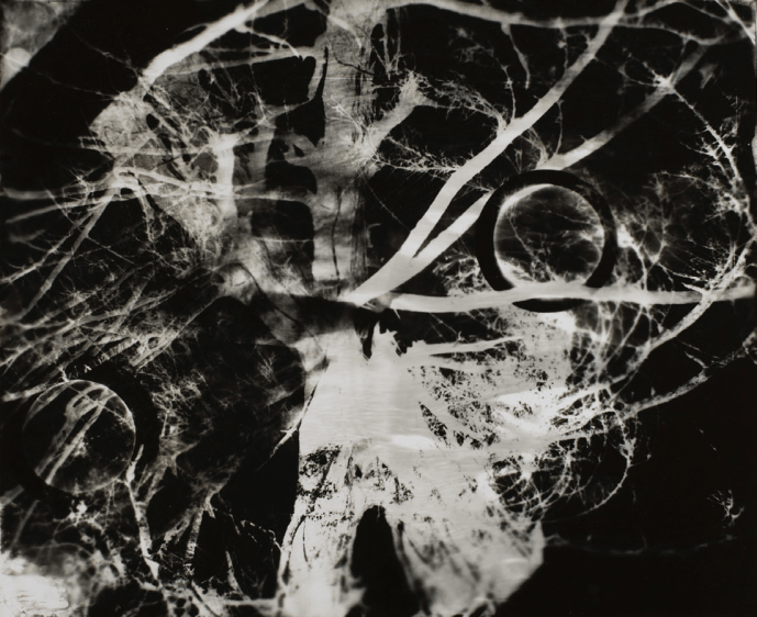 An inverted black and white image of tree limbs splaying in many directions