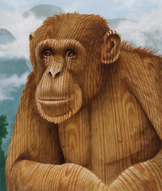 Portrait of a chimpanzee, instead of a fur it is painted in a wood grain.