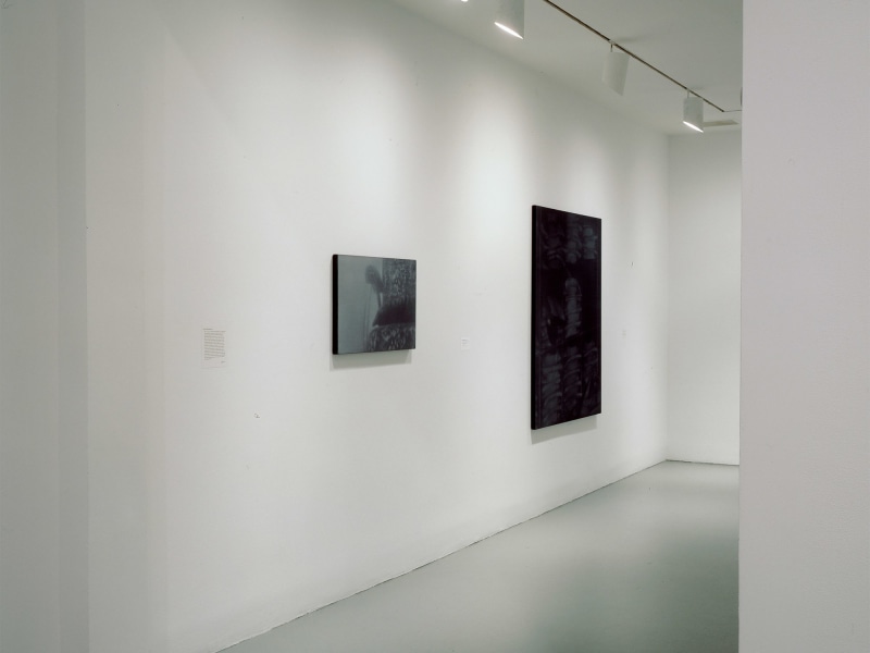 Installation view,&nbsp;Day for Night: Whitney Biennial 2006, The Whitney Museum of American Art, New York, 2006