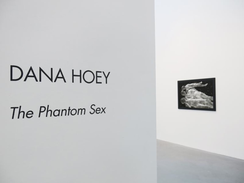 Dana Hoey Installation view 1