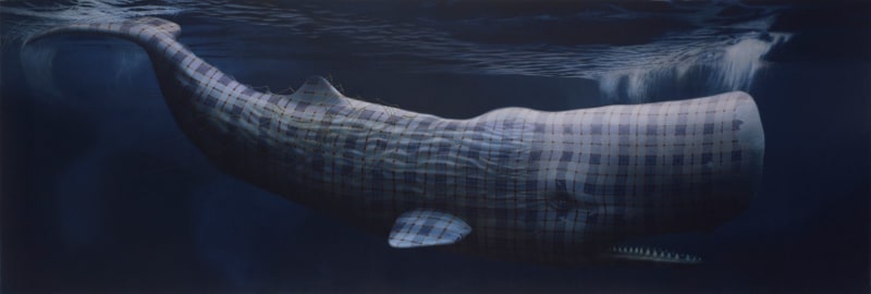 Moby Dick (Merrilees), 2013