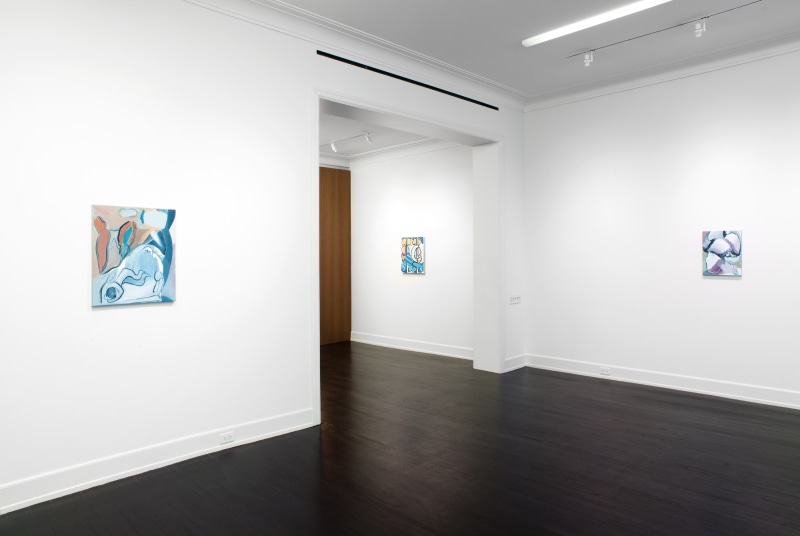 Schleper, Petzel Gallery, 2017, Installation view