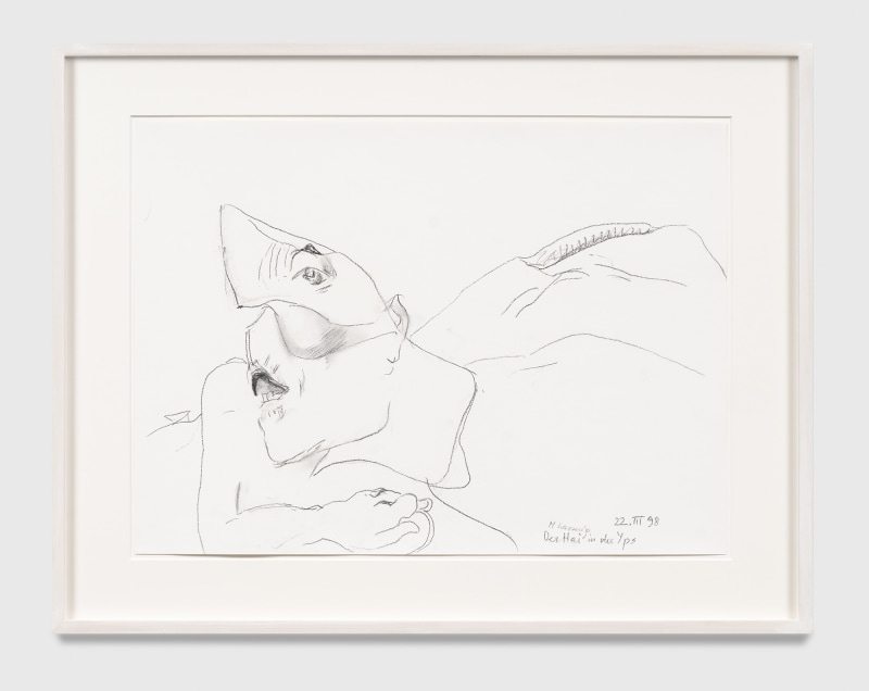 Maria Lassnig Der Hai in der Yps [Ybbs] 