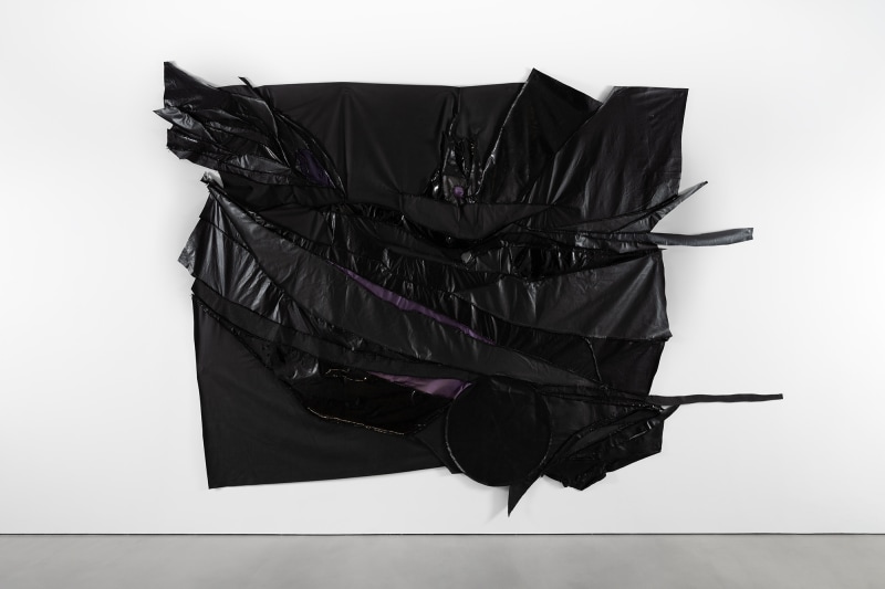 Rodney McMillian, Sky (Paradise) 6, 2022, Vinyl and thread, 139 x 196 1/2 inches, 353.1 x 499.1 cm.