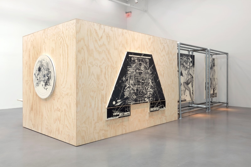 They Live, Petzel Gallery, 2020&nbsp;, Installation view