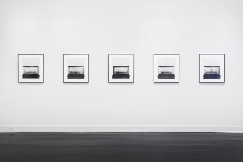 five framed laser exposed prints hanging on the white gallery wall. each print is of a glass case with shoes inside of them.
