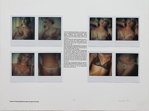 Lessons in Posing Subjects/Lingerie (Erogenous Zones)