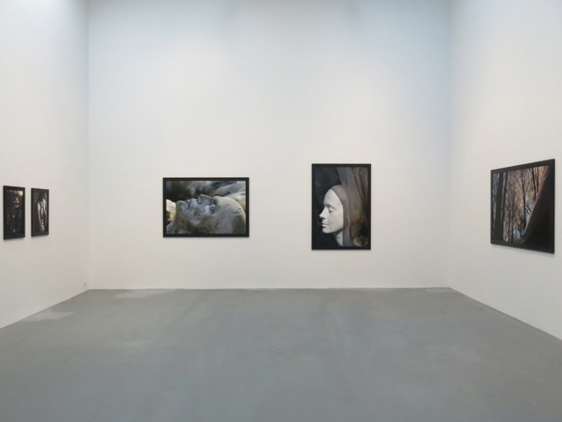Dana Hoey: The Phantom Sex, Petzel Gallery, 2013