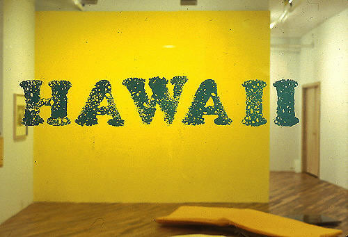 Hawaii Installation view